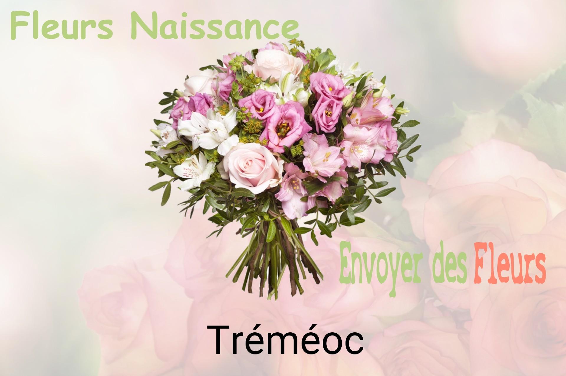 Bouquet de fleurs de naissance livré à Tréméoc