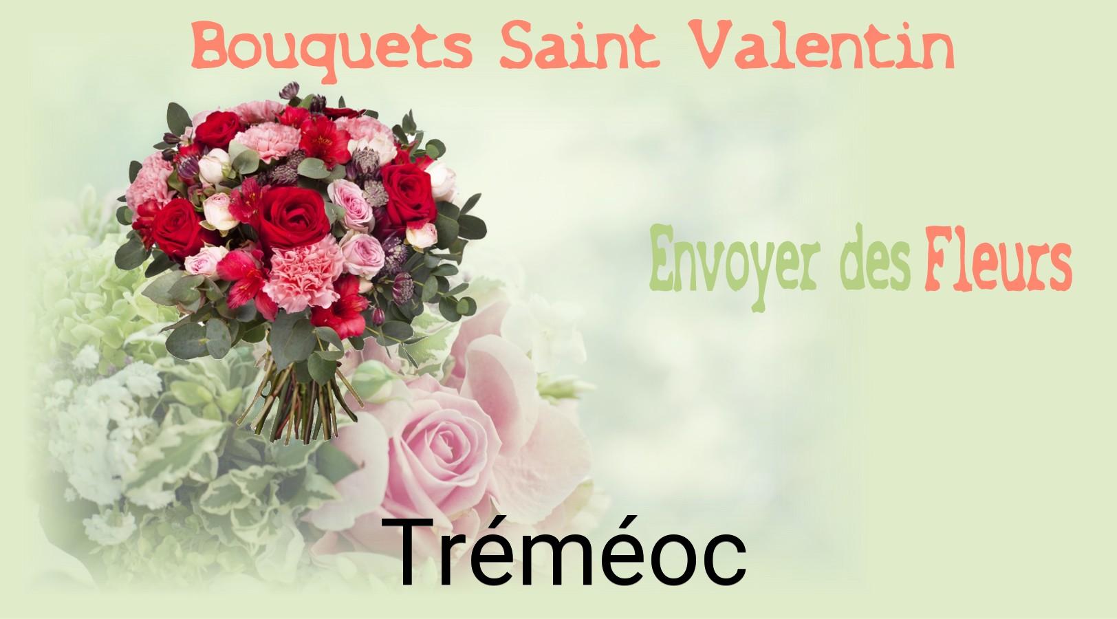 Roses de Saint-Valentin livrées à Tréméoc