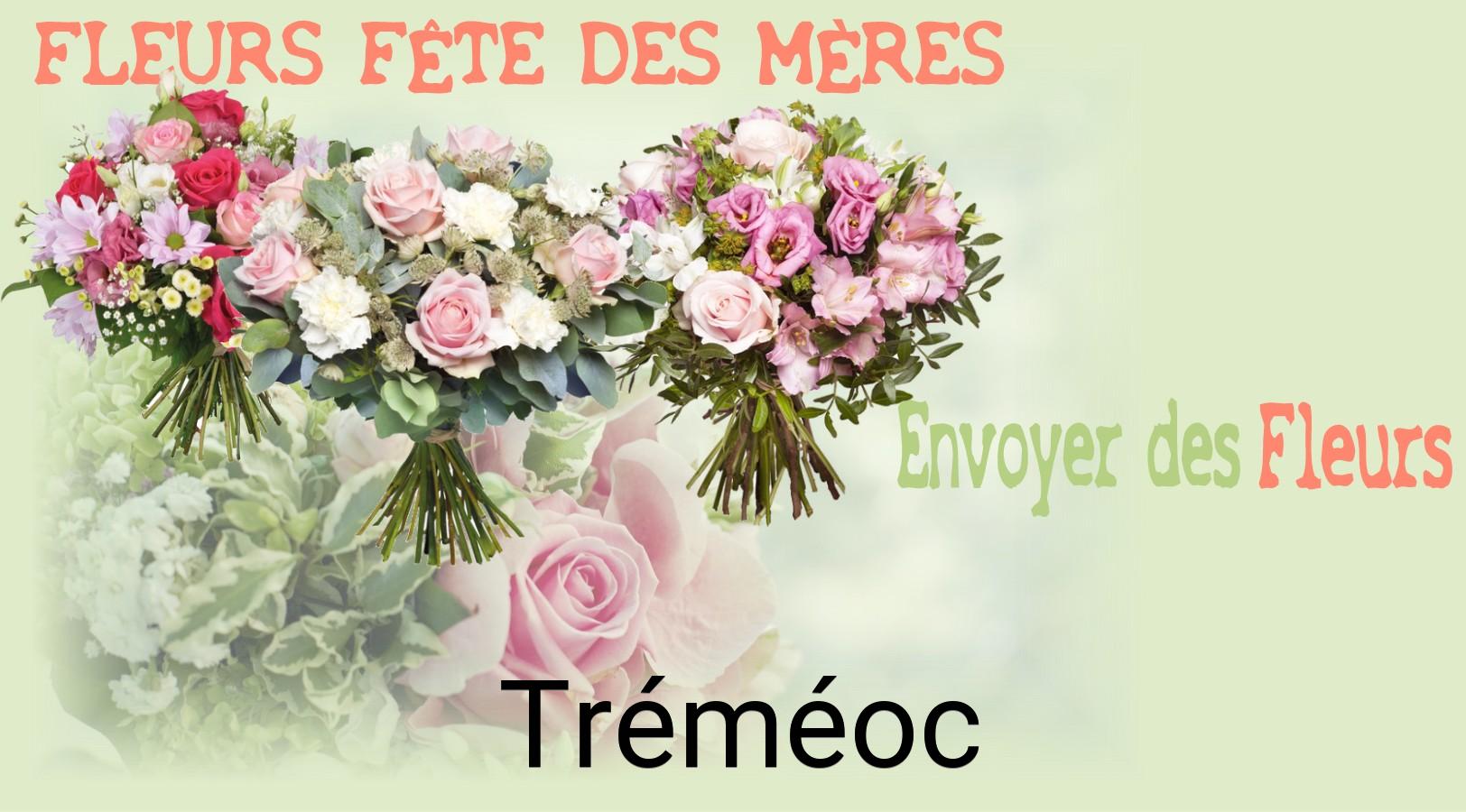 Bouquet de Fête des Mères livré à Tréméoc